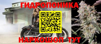 ГАЛЛЮЦИНОГЕННЫЕ ГРИБЫ Будённовск