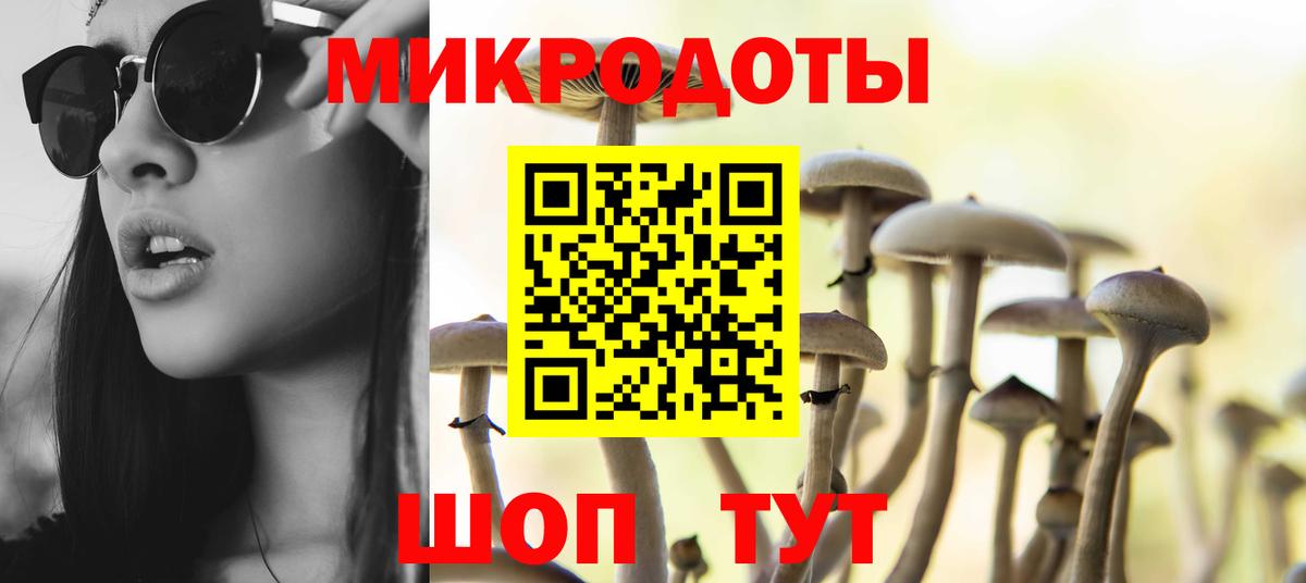 Галлюциногенные грибы прущие грибы Краснознаменск
