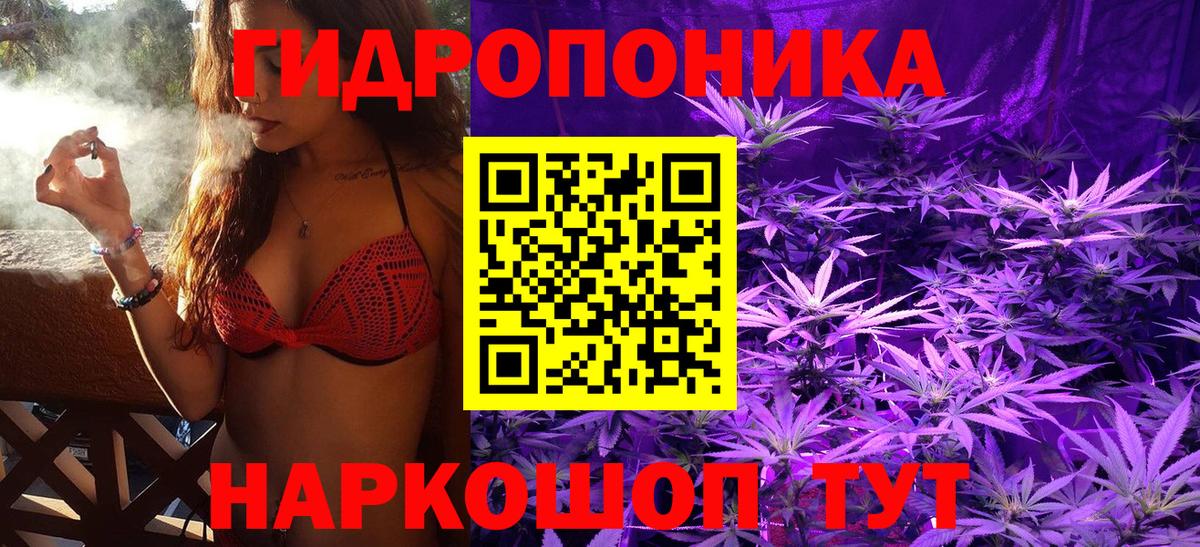 Бошки Шишки планчик Краснознаменск